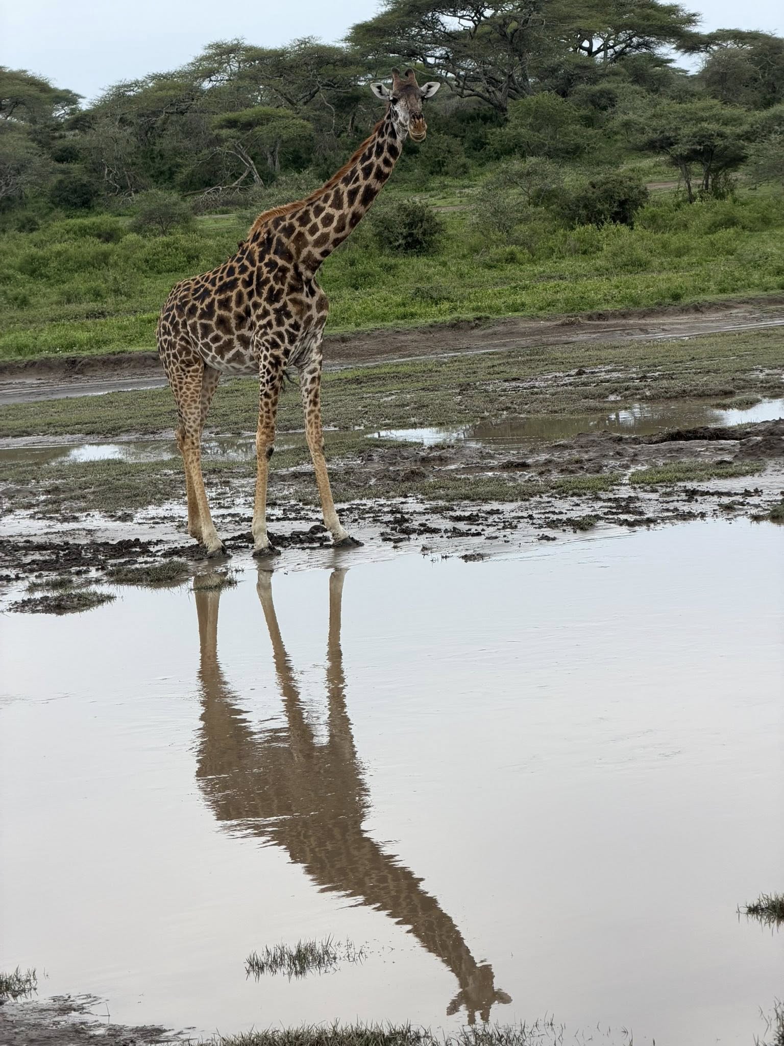 646347743_10243480362128783_2647810960508556363_n